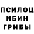 Псилоцибиновые грибы Cubensis Fatu0s scolis