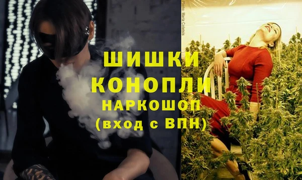 мдпв Киреевск