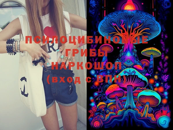 мдпв Киреевск