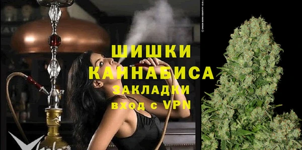 мдпв Киреевск