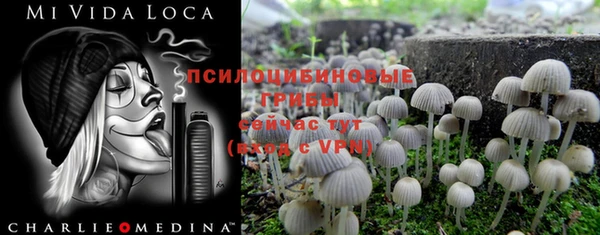 ALPHA-PVP Кинешма