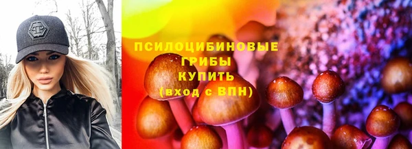 ALPHA-PVP Кинешма