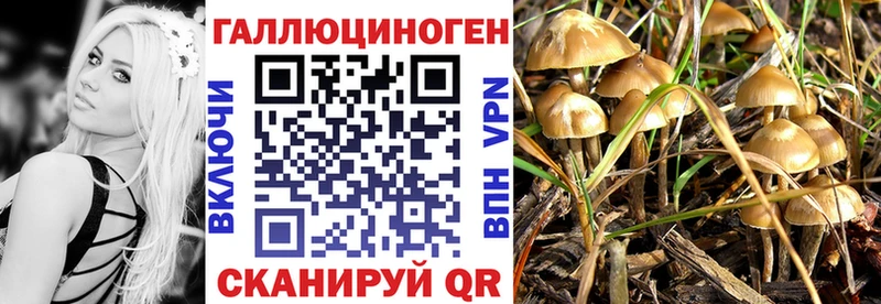 Псилоцибиновые грибы Psilocybine cubensis  Купить  Волгодонск 